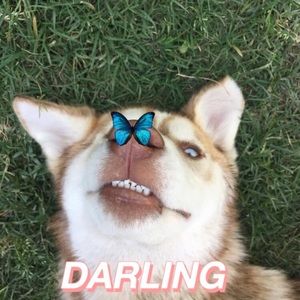 Meet your Posher, Serenity